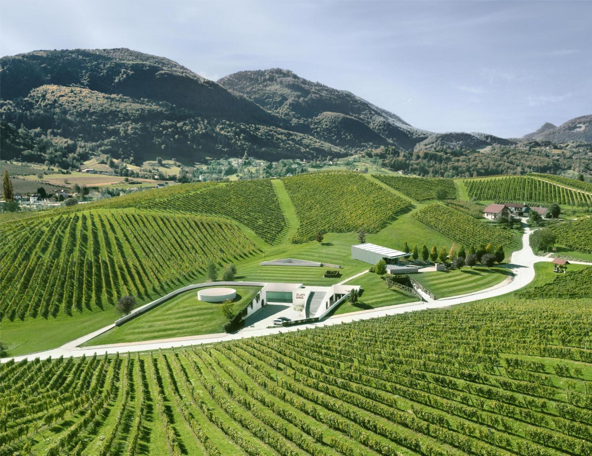 Wine Grower'S Mansion Zlati Gric Apartment Slovenske Konjice Exterior photo